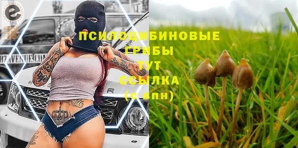 гидропоника Бородино