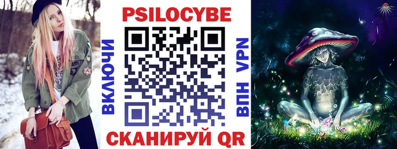 Купить закладки  Котлас  Галлюциногенные грибы Psilocybe 